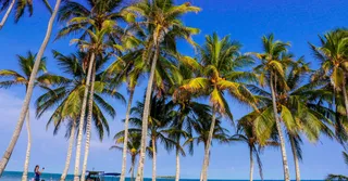 Séjour au Carbet et côte Nord-Caraïbe : la base nature de la Martinique