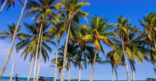 Séjour au Carbet et côte Nord-Caraïbe : la base nature de la Martinique