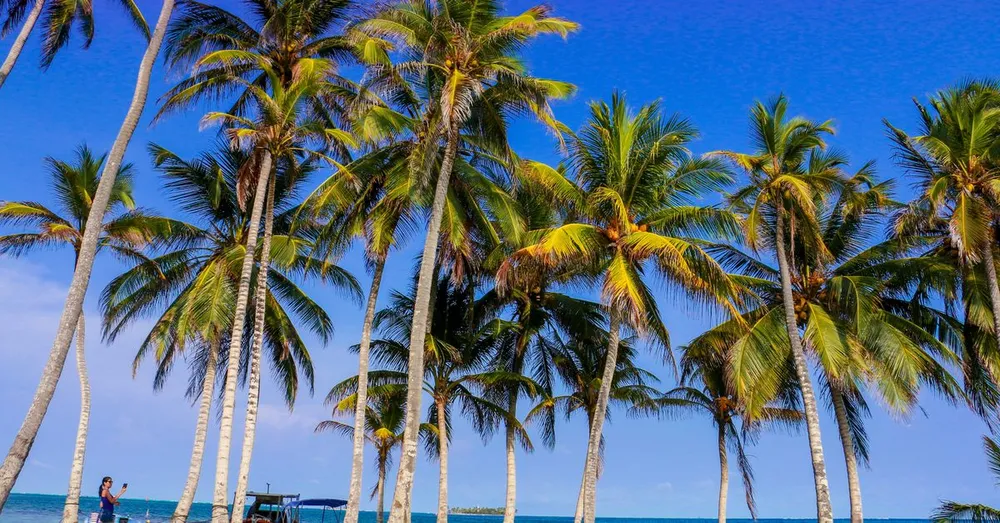 Séjour au Carbet et côte Nord-Caraïbe : la base nature de la Martinique