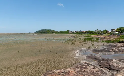 Séjour découverte en Guyane : réserver avec une conciergerie locale