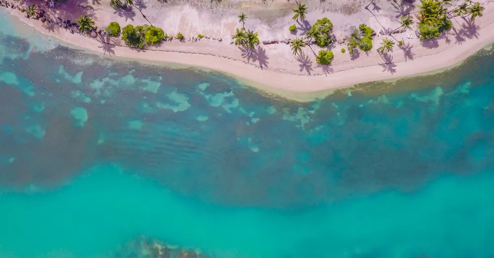 Tourisme durable en Guadeloupe : écogestes, sargasses et sites préservés