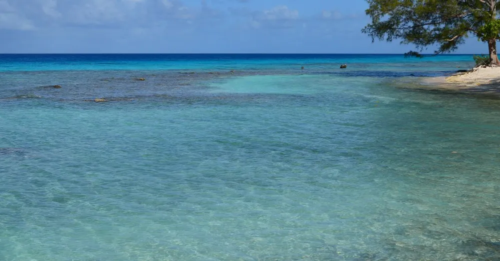 Snorkeling Petite Terre : reserve naturelle et requins-citrons