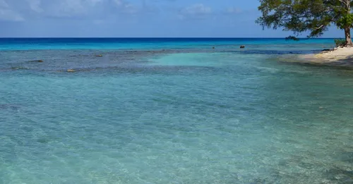 Snorkeling Petite Terre : reserve naturelle et requins-citrons