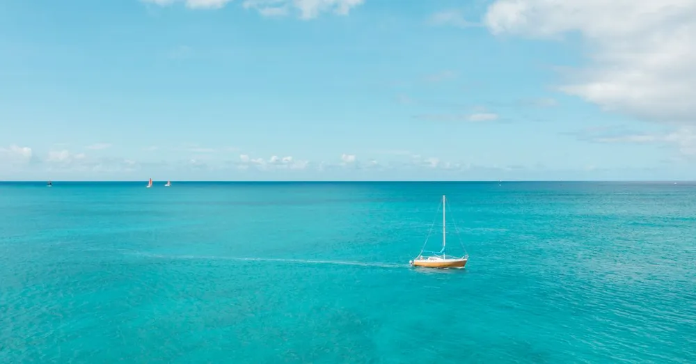 Que rapporter de Guadeloupe : top 10 produits gastronomiques