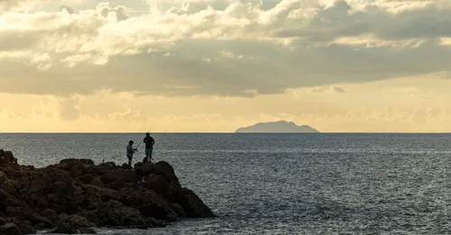 Tartane et la presqu'île de la Caravelle : le marché locatif décrypté