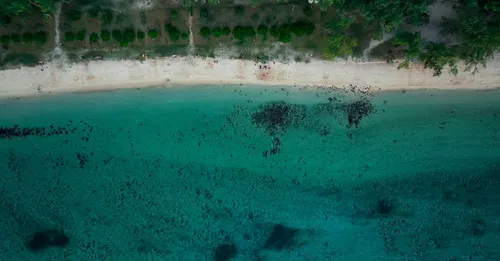 Terre de Blues à Marie-Galante : réserver son hébergement