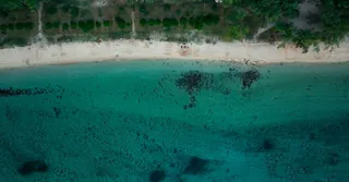 Terre de Blues à Marie-Galante : réserver son hébergement