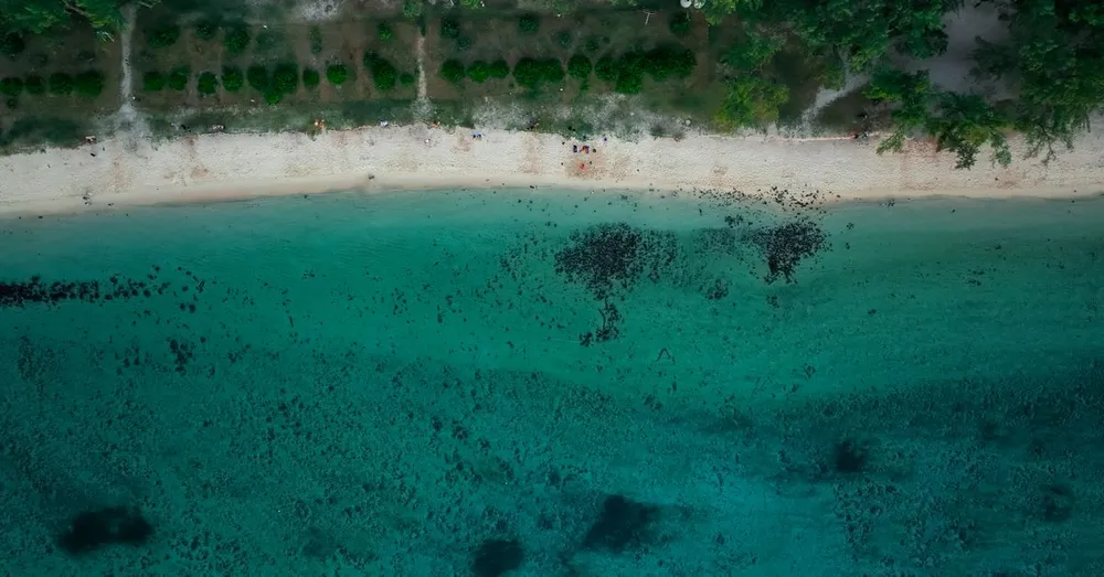 Terre de Blues à Marie-Galante : réserver son hébergement