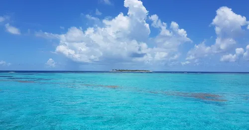 Ti-punch en Guadeloupe : la règle locale pour doser comme un vrai Guadeloupéen
