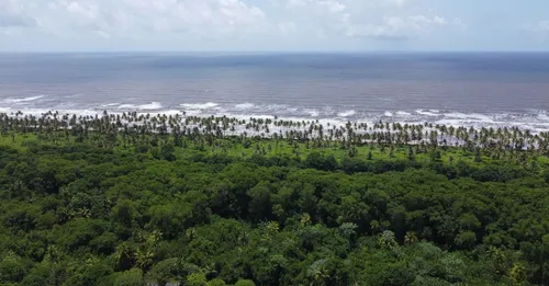 Tour des Anses-d'Arlet : Grande Anse, Petite Anse et Anse Dufour en une journée