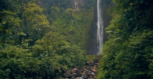 Saut Gendarme et cascades cachées du Centre de la Martinique