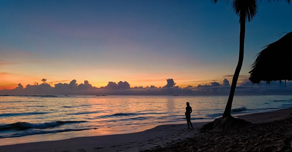 Toussaint en Martinique : illuminations des cimetières et séjour