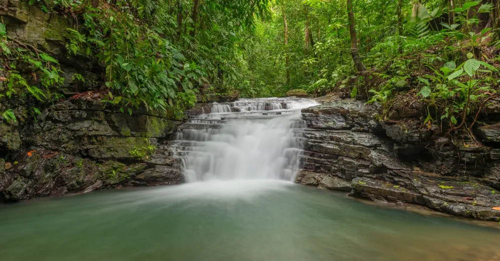 Trek en forêt amazonienne guyanaise : niveau, guide et équipement