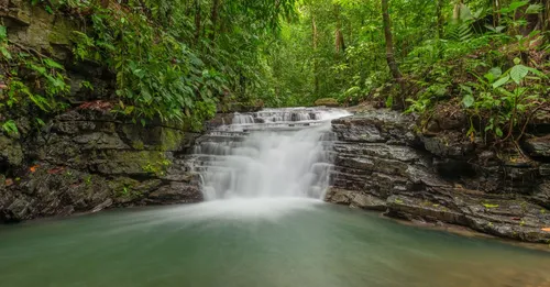 Trek en forêt amazonienne guyanaise : niveau, guide et équipement