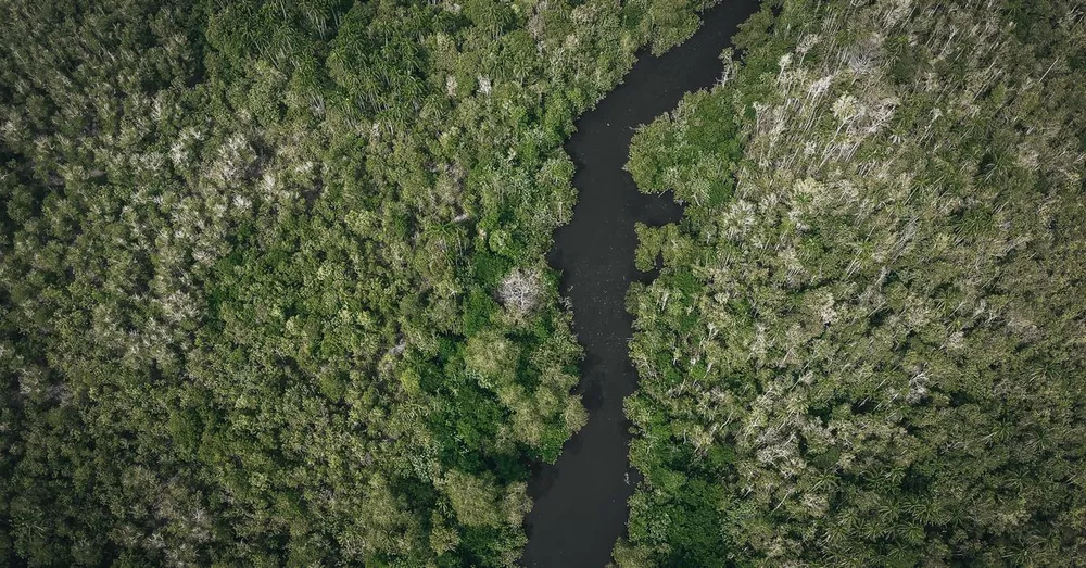 Trois-Sauts et le haut Oyapock : la Guyane amazonienne profonde