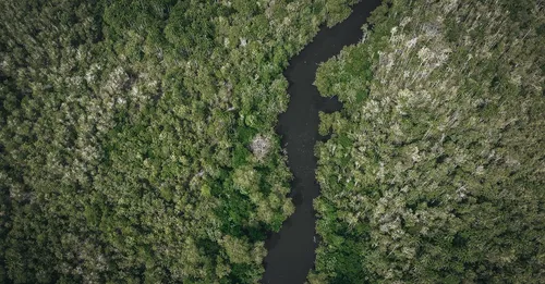 Trois-Sauts et le haut Oyapock : la Guyane amazonienne profonde