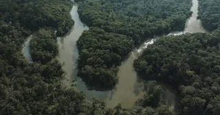 Que mettre dans sa valise pour la Guyane équatoriale