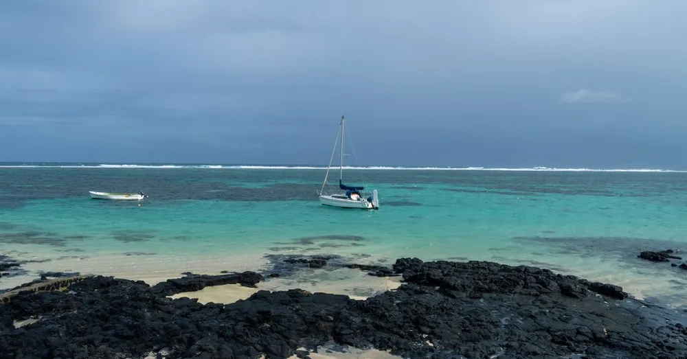Vanille de Guadeloupe : producteurs, achat direct et cuisine créole