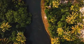 Visiter le Centre Spatial Guyanais à Kourou : guide pratique 2026