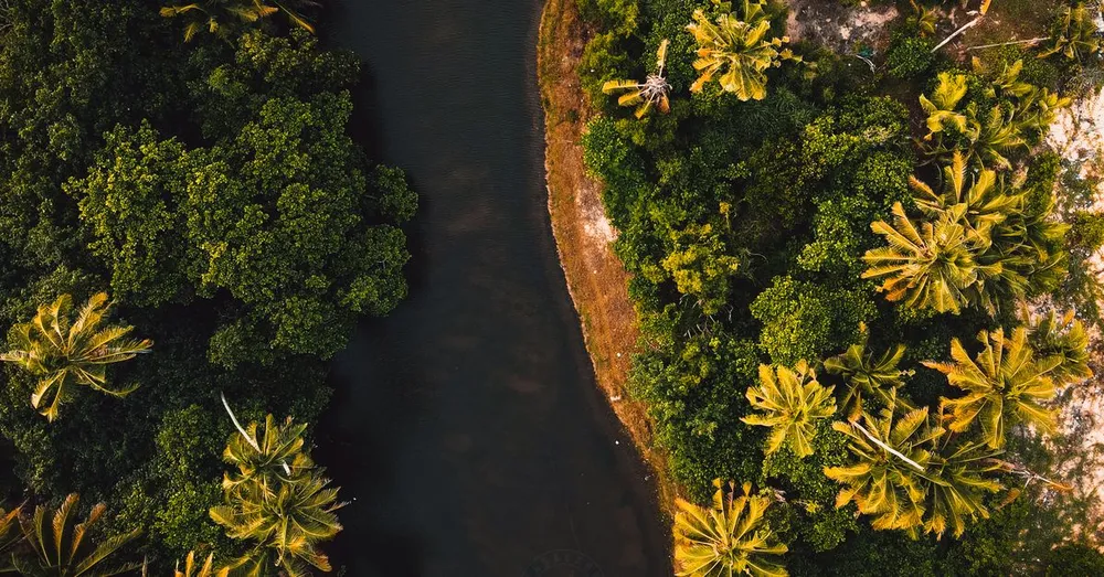 Visiter le Centre Spatial Guyanais à Kourou : guide pratique 2026