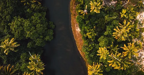 Visiter le Centre Spatial Guyanais à Kourou : guide pratique 2026