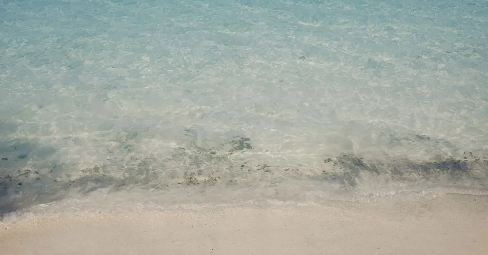 Vol pour la Guadeloupe pas cher : quand reserver vraiment