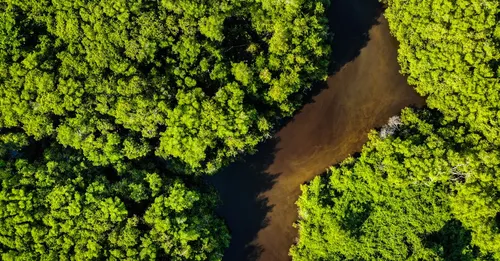 Voyage solo en Guyane : organisation, sécurité et rencontres