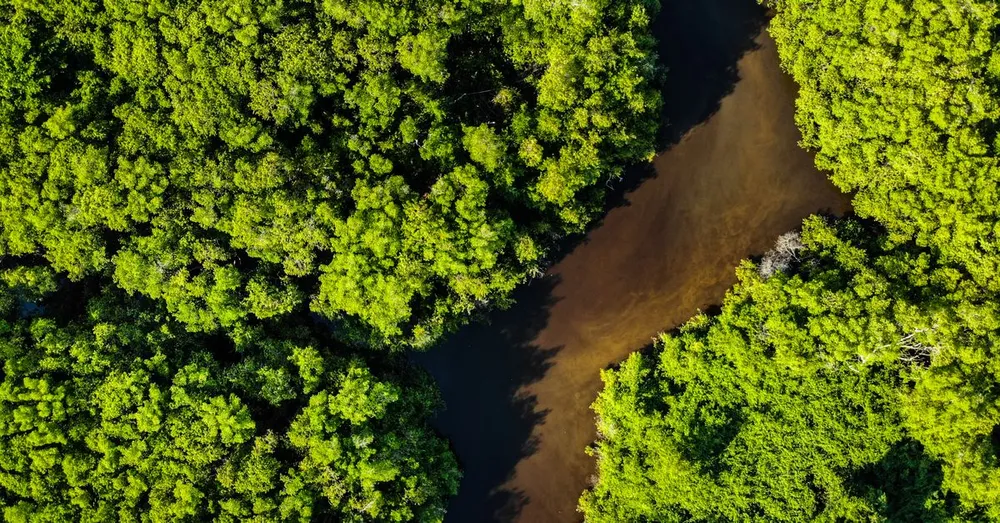 Voyage solo en Guyane : organisation, sécurité et rencontres