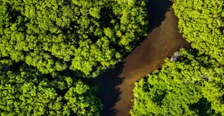Voyage solo en Guyane : organisation, sécurité et rencontres