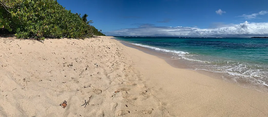 Plage sauvage du Cap Macré au Marin, en Martinique : bande de sable bordée de végétation littorale donnant sur la mer