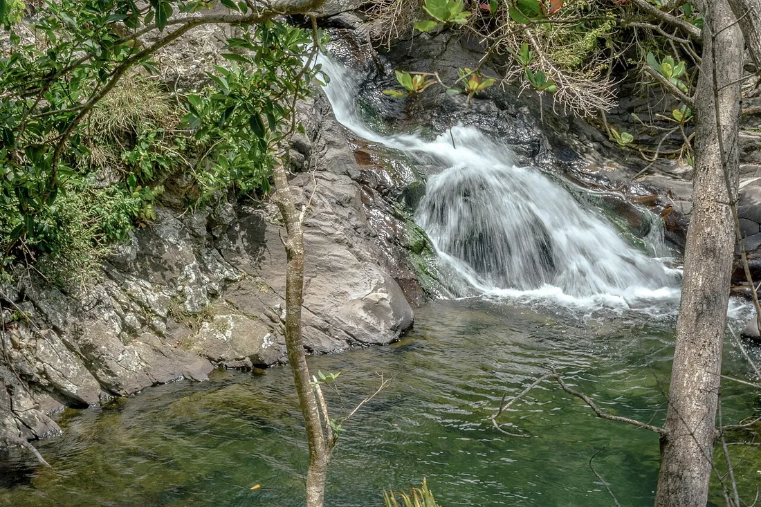 Bassin de la Coulisse en Basse-Terre, vasque d'eau verte alimentee par une petite cascade au milieu des rochers et de la vegetation tropicale