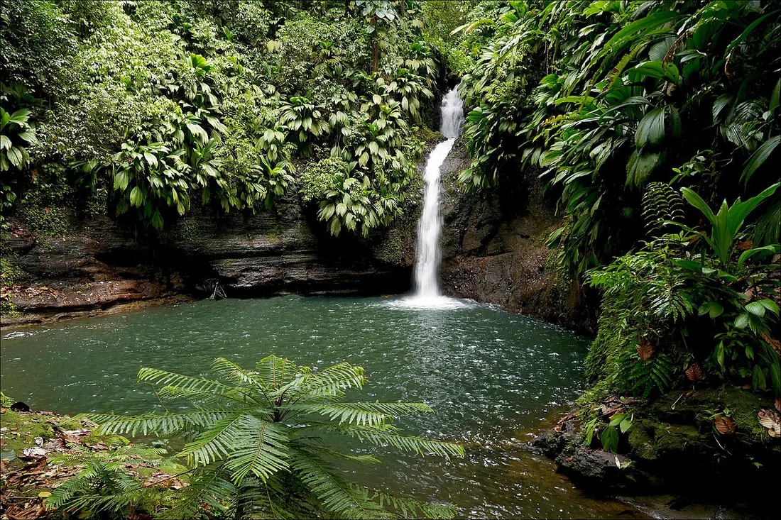 Bassin de la cascade Tambour en Basse-Terre, large vasque d'eau emeraude au pied d'une chute d'eau entouree de foret tropicale