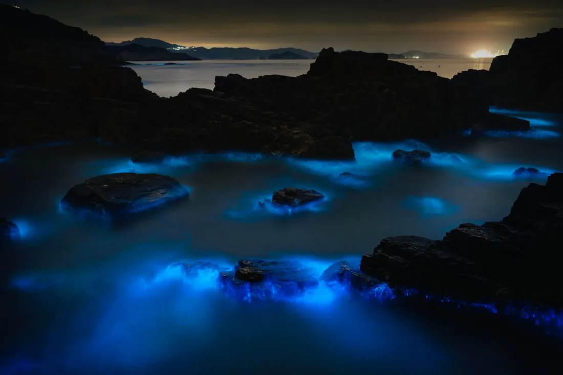 Eau de mer bioluminescente scintillant en bleu autour de rochers dans une baie sombre la nuit
