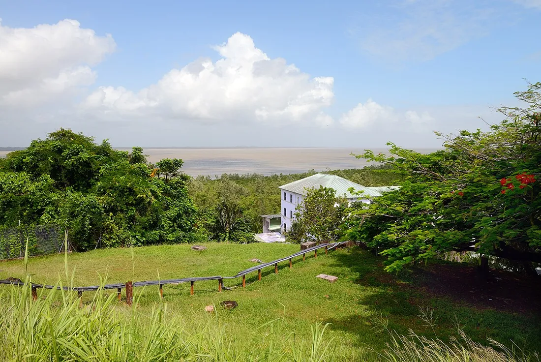 Vue de Cayenne et du littoral guyanais depuis le Mont Cépérou, entre végétation tropicale et océan