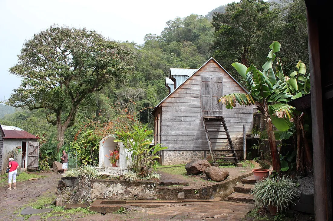 L'Habitation La Grivelière, ancienne caféière de Vieux-Habitants en Guadeloupe, nichée dans les montagnes verdoyantes