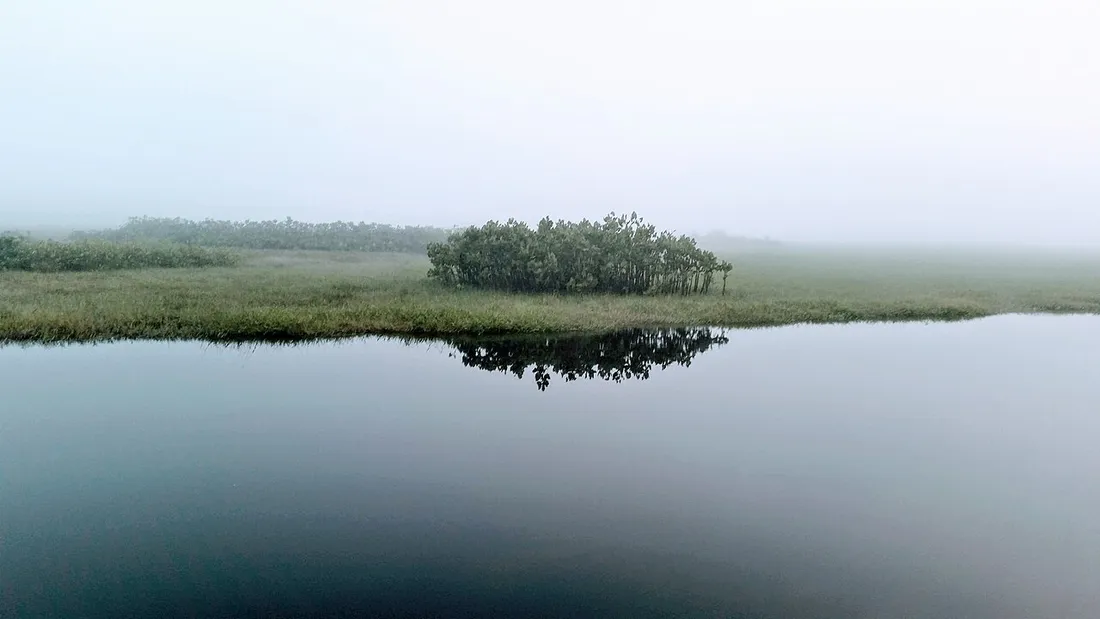 Plan d'eau calme et brumeux des marais de Kaw en Guyane, reflet de la végétation au lever du jour évoquant les lacs d'une escapade nature