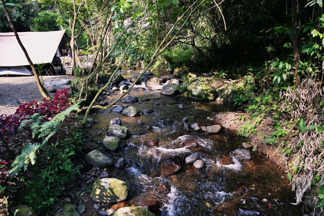 Tente de camping installée au bord d'une crique forestière en pleine jungle tropicale