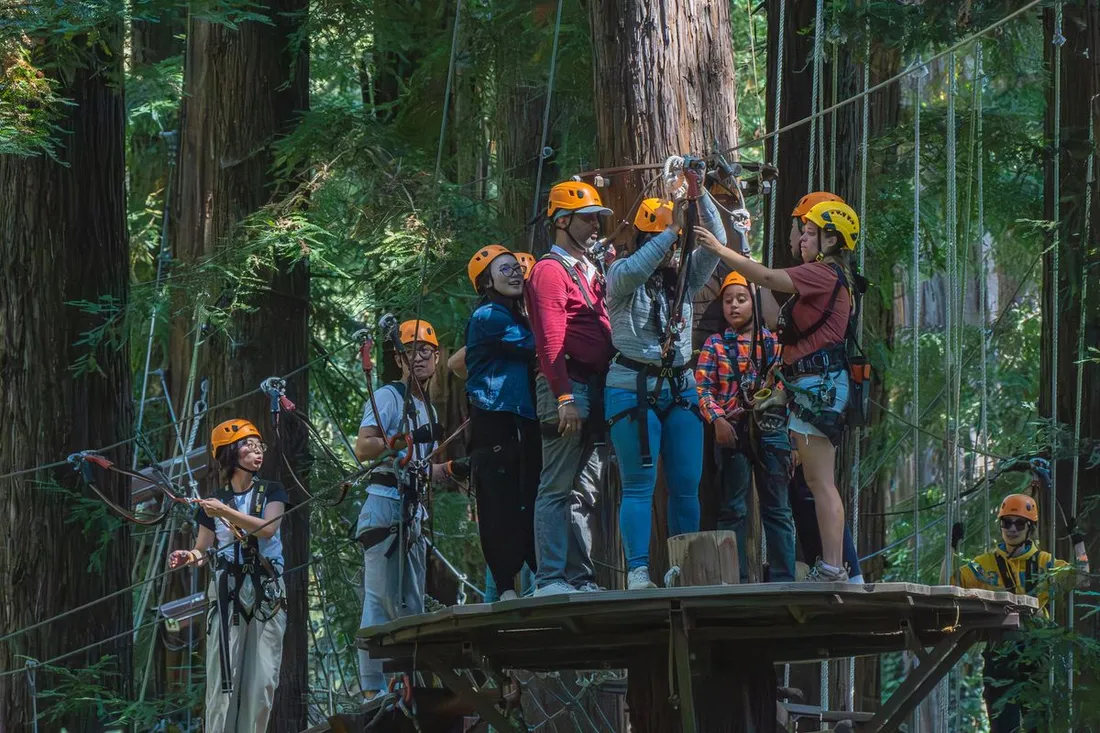 Groupe equipe de casques et harnais sur une plateforme d'accrobranche dans la cime des arbres