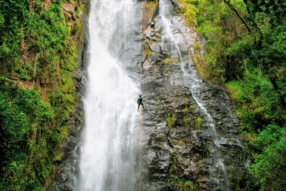 Canyoneur en rappel le long d'une haute cascade au coeur d'une foret tropicale luxuriante, descente encadree en riviere