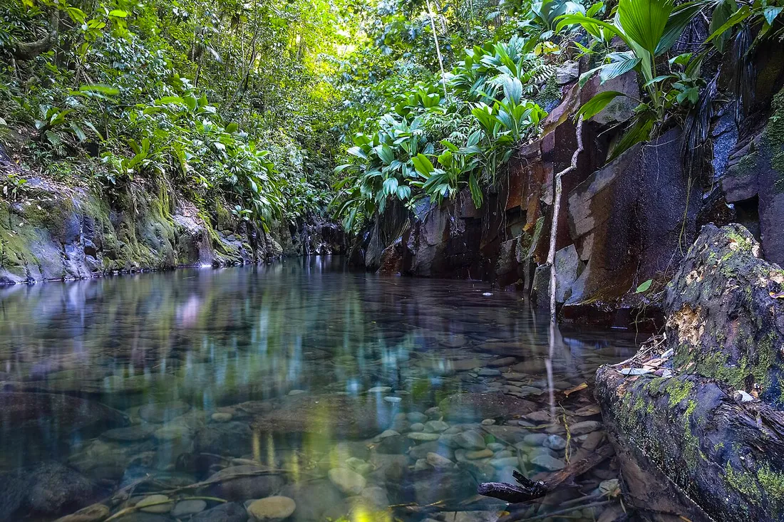 Vasque d'eau claire de la rivière Moustique encadrée de parois rocheuses et de végétation tropicale en Basse-Terre, Guadeloupe