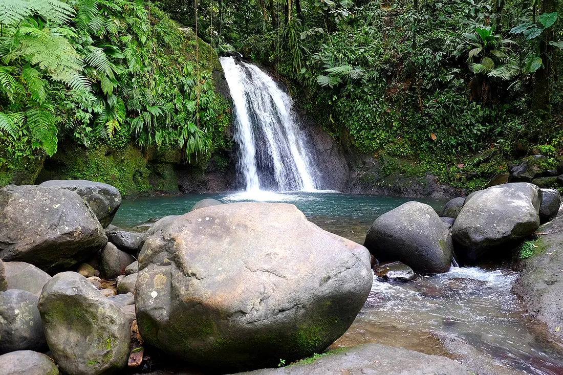 La Cascade aux Écrevisses se jetant dans son bassin turquoise, entourée de fougères et de gros rochers, en Guadeloupe