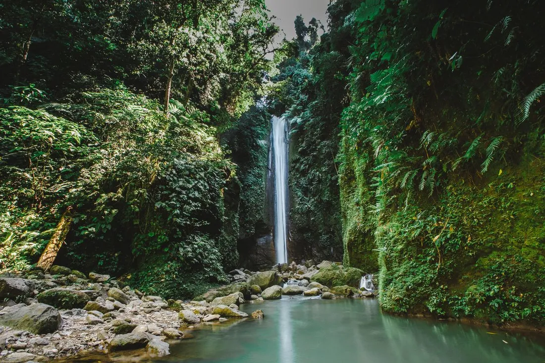 Haute cascade tombant dans un bassin d'eau claire entoure d'une vegetation tropicale luxuriante, ambiance des chutes de la foret guyanaise pres de Cayenne