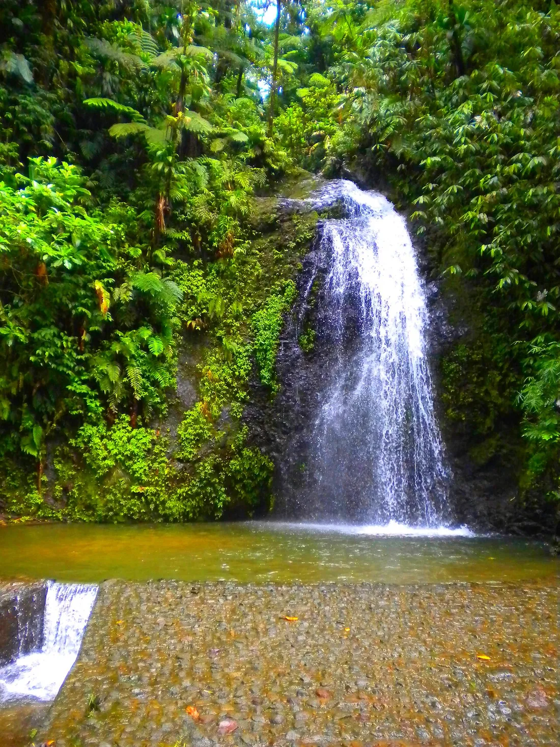 Cascade du Saut du Gendarme à Fonds-Saint-Denis en Martinique, avec son bassin naturel au pied de la chute entouré de végétation tropicale