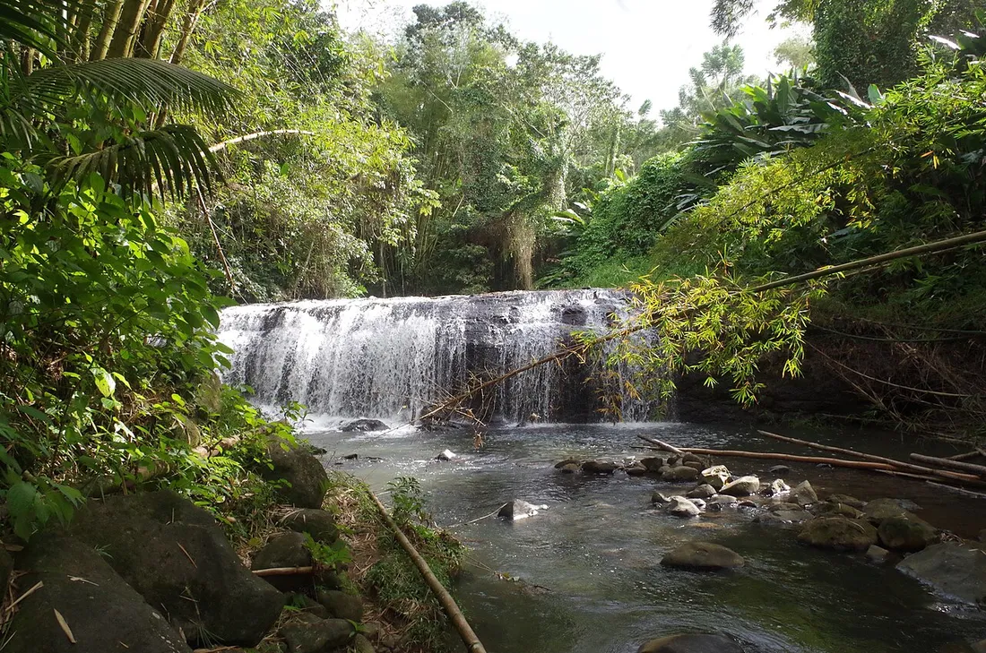 Cascade de la Crabe sur une rivière de Trinité en Martinique, petite chute d'eau et vasque rocheuse au cœur de la forêt tropicale