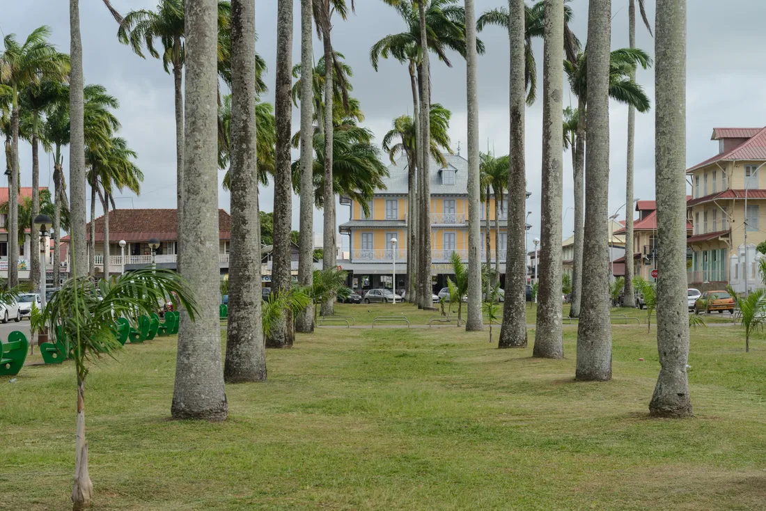 Place des Palmistes à Cayenne, en Guyane : allée de palmiers royaux menant au Bar des Palmistes jaune et aux façades du centre-ville