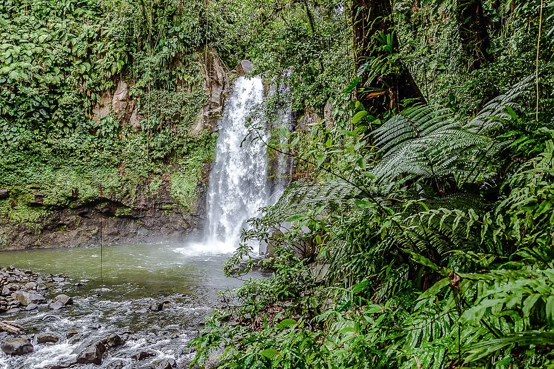 Troisieme chute du Carbet en Guadeloupe, cascade se jetant dans un bassin entoure de vegetation luxuriante du Parc national