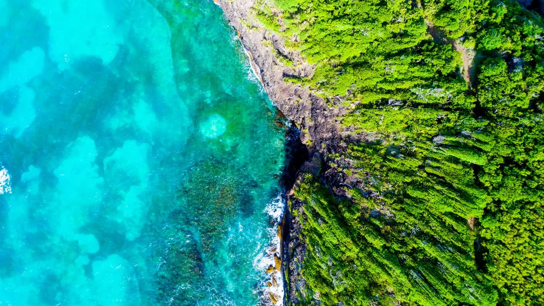 Vue aérienne du littoral de la Martinique au Vauclin : eaux turquoise, récifs et côte verdoyante