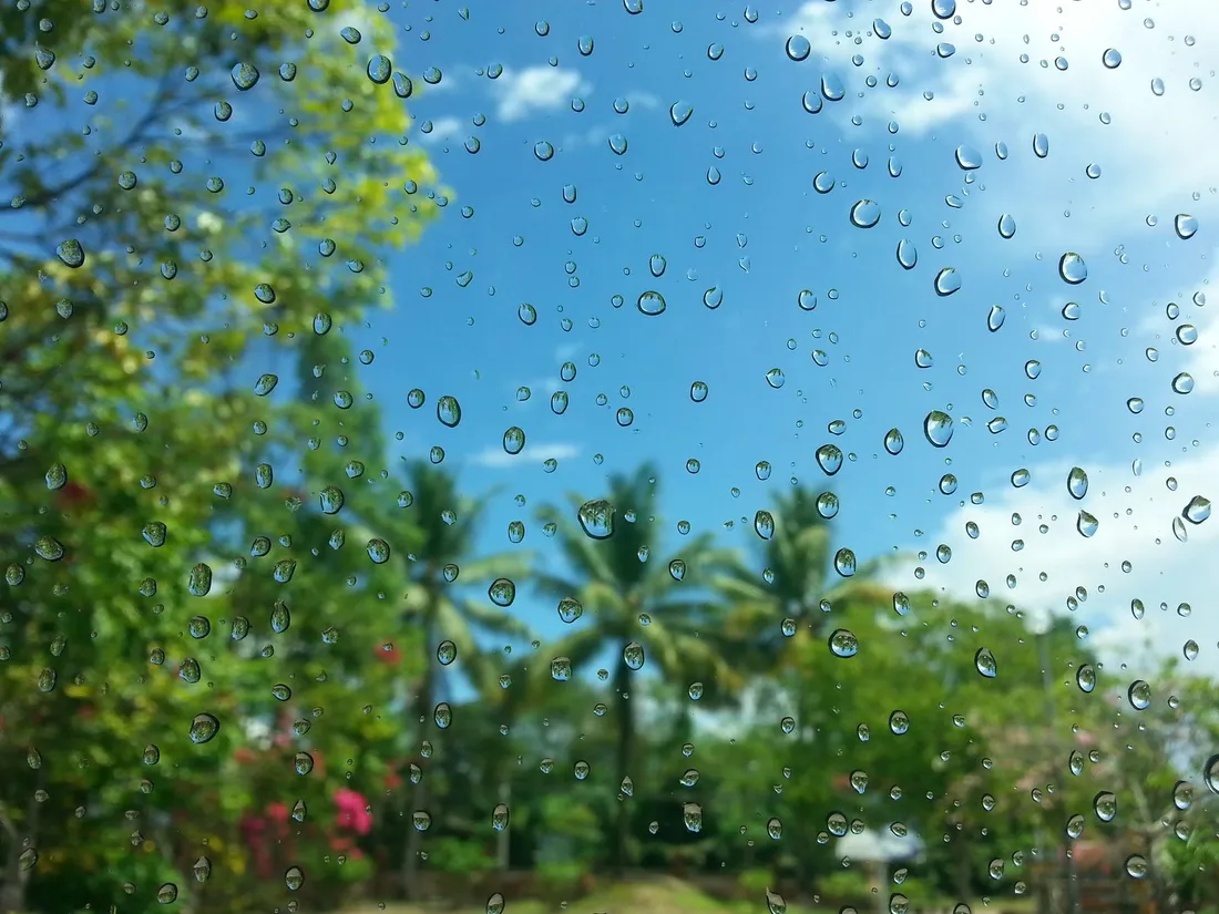 Gouttes de pluie sur une vitre avec des palmiers et un ciel tropical en arriere-plan, ambiance de saison des pluies en Guyane