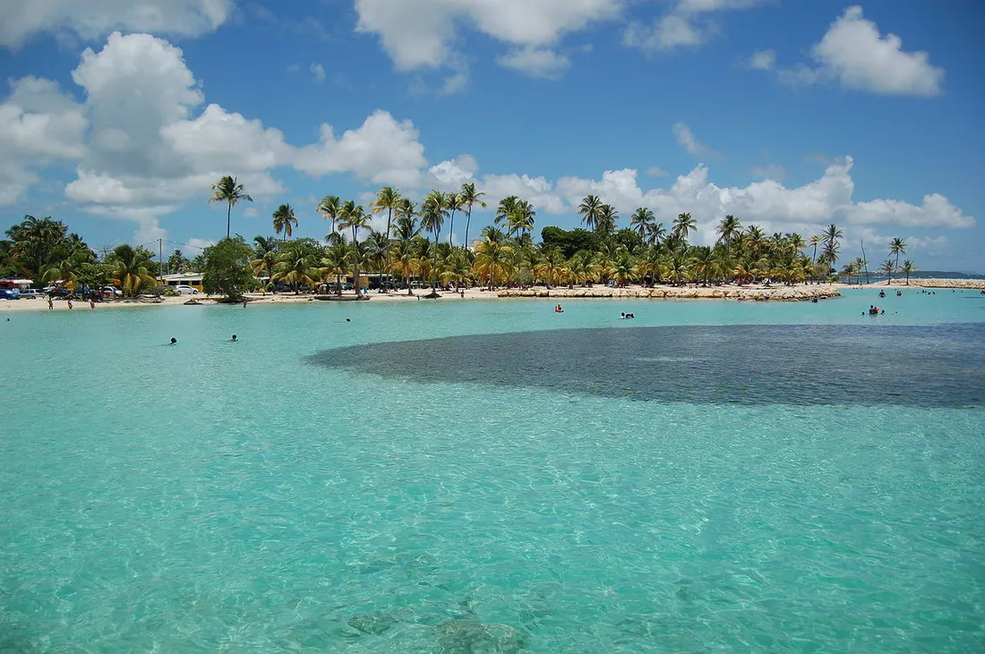 Lagon turquoise et cocotiers de la plage de Sainte-Anne en Grande-Terre, Guadeloupe