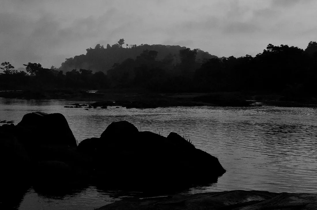 Le fleuve Maroni bordé de forêt, dans le Parc amazonien de Guyane